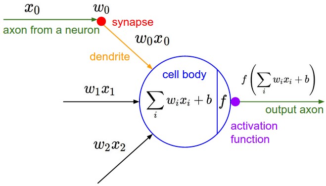 Schéma d’un neurone avec fonction d’activation non linéaire, pris sans autorisation de (Fei-Fei, Karpathy, and Johnson 2016)