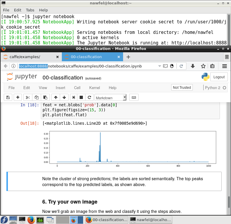 Jupyter Notebook ouvert dans le navigateur Firefox dans Fedora Workstation LXDE